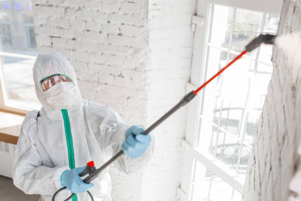 Best Mold Remediation for Healthcare Facilities  in Centennial, CO