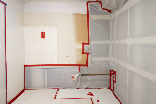 Best Indoor Air Quality Assessment  in Centennial, CO