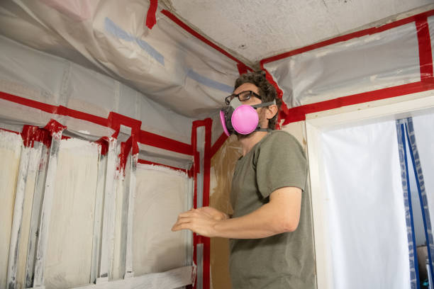 Best Emergency Mold Remediation  in Centennial, CO