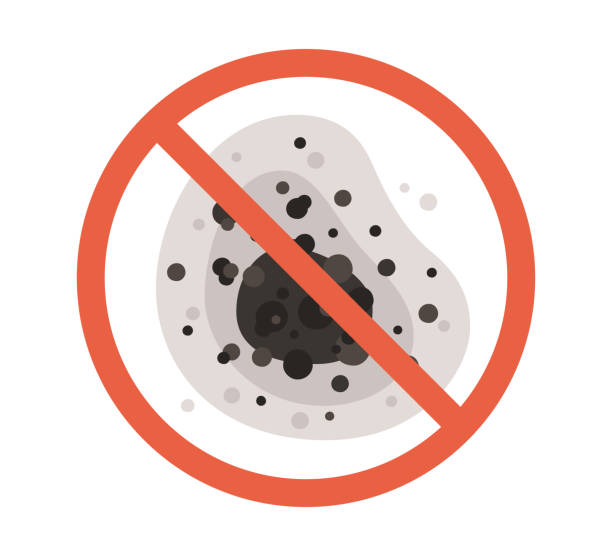 Forensic Mold Investigation in Centennial, CO