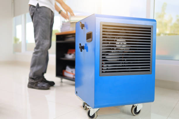  Centennial, CO Mold Removal Pros