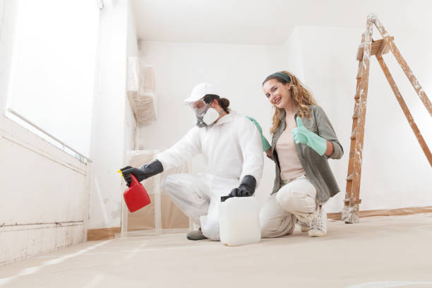 Best Mold-Related Health Consultation  in Centennial, CO