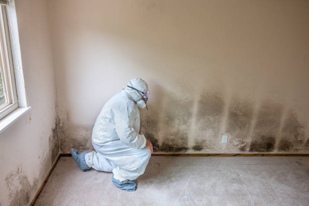 Best Mold Removal for HVAC Installations  in Centennial, CO